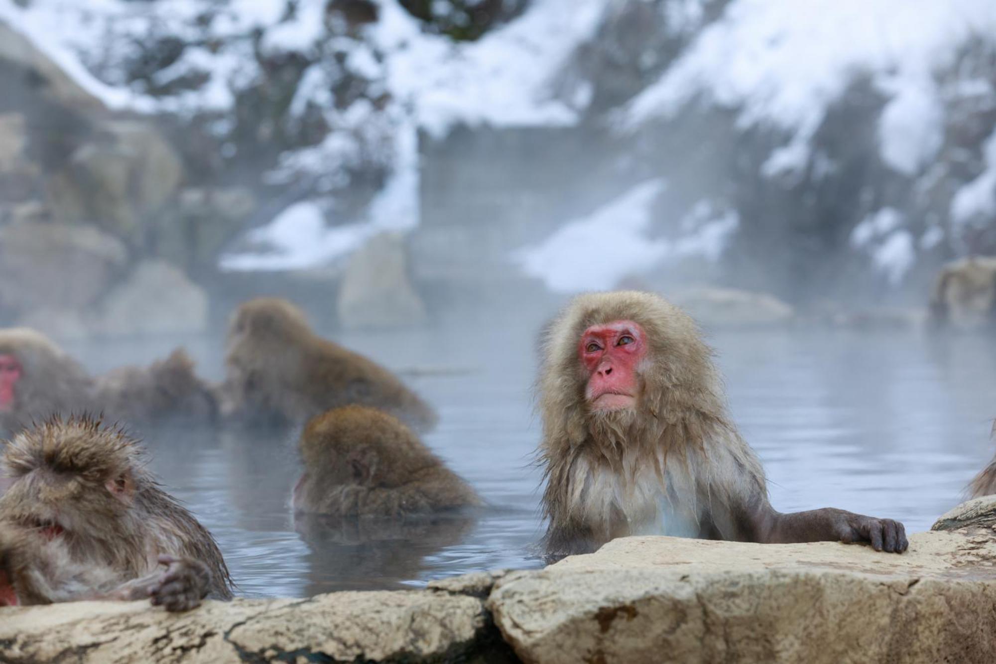 Ikariya Ryokan Яманучи Екстериор снимка